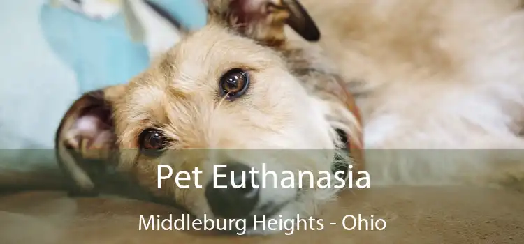 Pet Euthanasia Middleburg Heights - Ohio