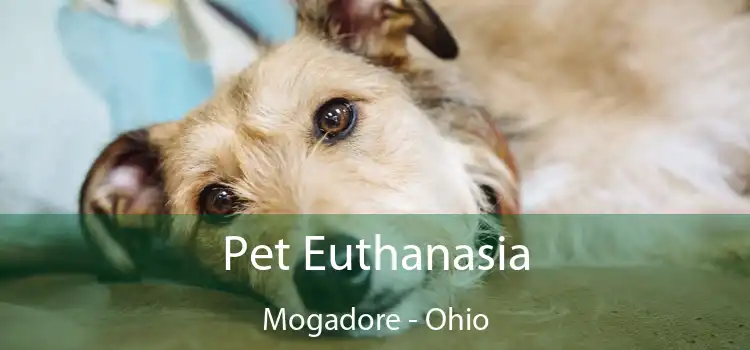 Pet Euthanasia Mogadore - Ohio