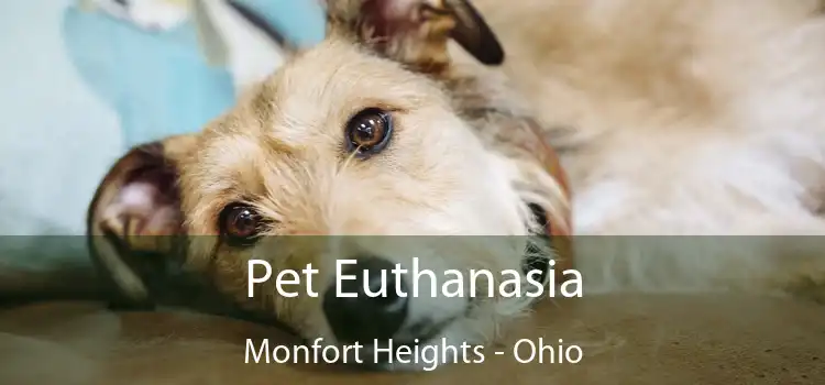 Pet Euthanasia Monfort Heights - Ohio