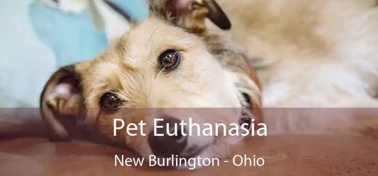 Pet Euthanasia New Burlington - Ohio