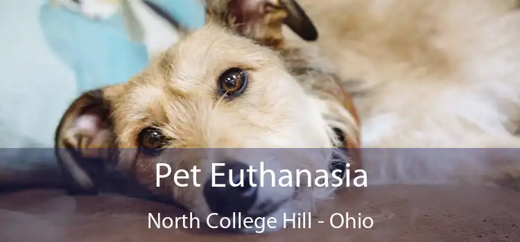 Pet Euthanasia North College Hill - Ohio