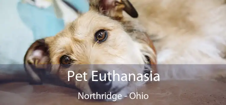 Pet Euthanasia Northridge - Ohio
