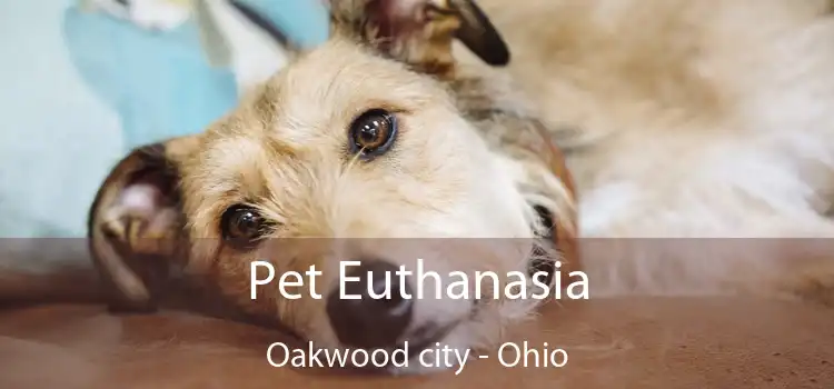 Pet Euthanasia Oakwood city - Ohio