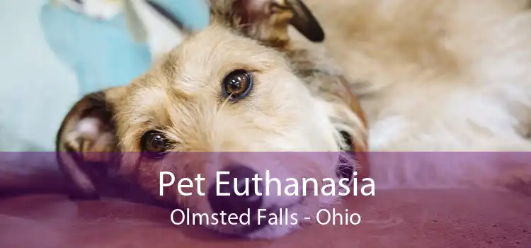 Pet Euthanasia Olmsted Falls - Ohio