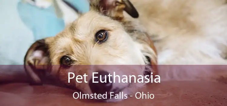 Pet Euthanasia Olmsted Falls - Ohio