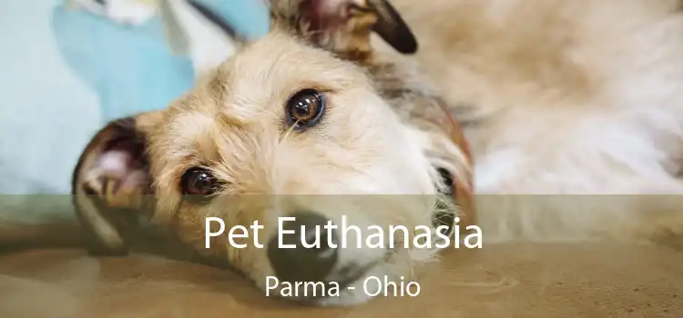 Pet Euthanasia Parma - Ohio