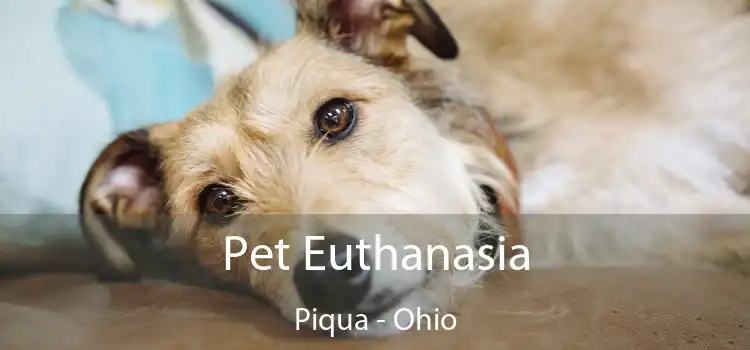 Pet Euthanasia Piqua - Ohio