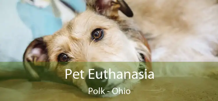 Pet Euthanasia Polk - Ohio