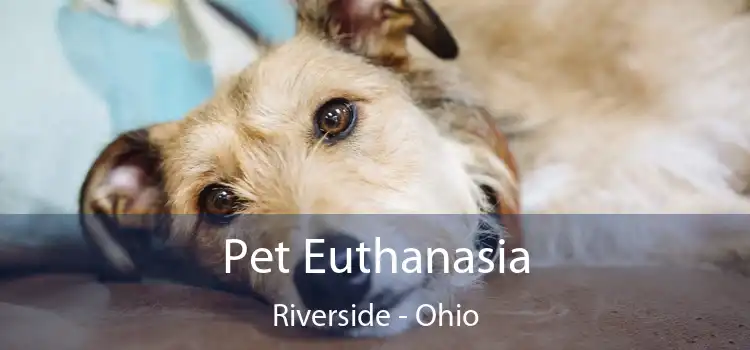 Pet Euthanasia Riverside - Ohio