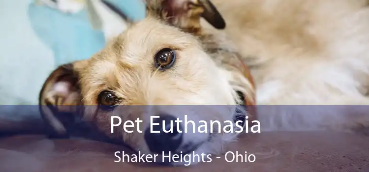 Pet Euthanasia Shaker Heights - Ohio