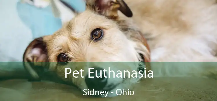 Pet Euthanasia Sidney - Ohio