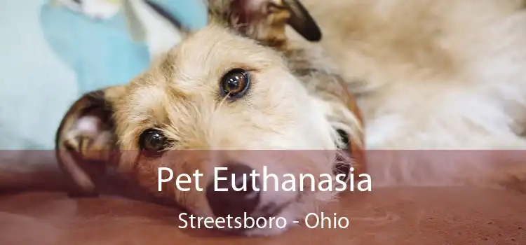 Pet Euthanasia Streetsboro - Ohio