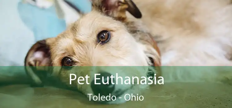 Pet Euthanasia Toledo - Ohio