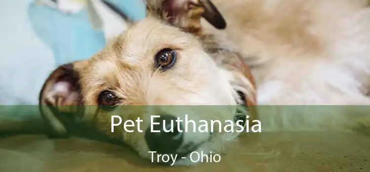 Pet Euthanasia Troy - Ohio