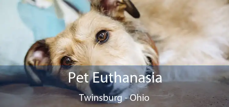 Pet Euthanasia Twinsburg - Ohio