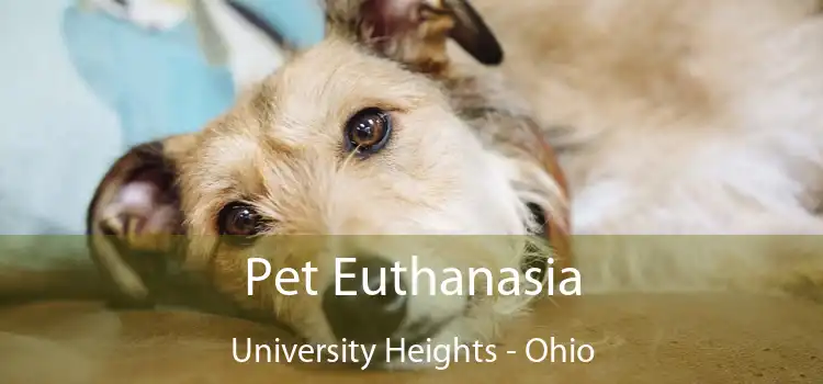 Pet Euthanasia University Heights - Ohio