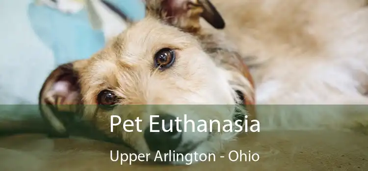 Pet Euthanasia Upper Arlington - Ohio