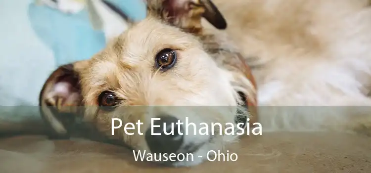 Pet Euthanasia Wauseon - Ohio