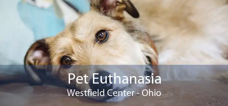 Pet Euthanasia Westfield Center - Ohio