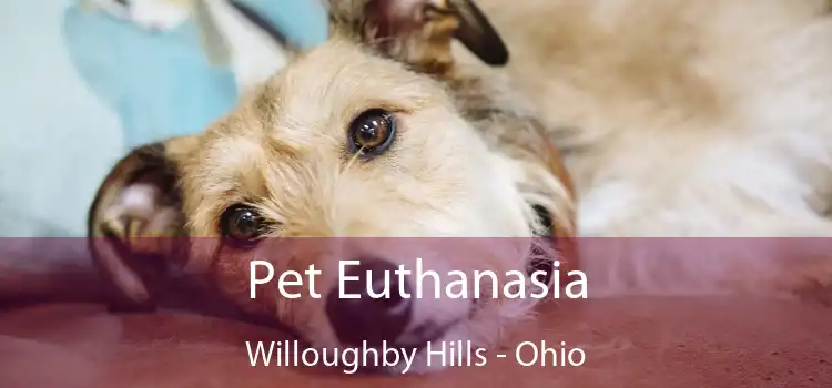 Pet Euthanasia Willoughby Hills - Ohio