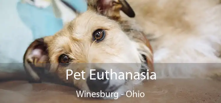 Pet Euthanasia Winesburg - Ohio