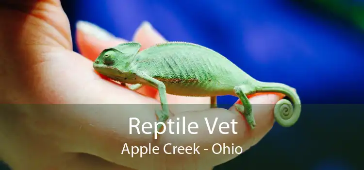 Reptile Vet Apple Creek - Ohio