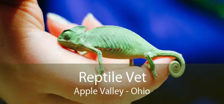 Reptile Vet Apple Valley - Ohio