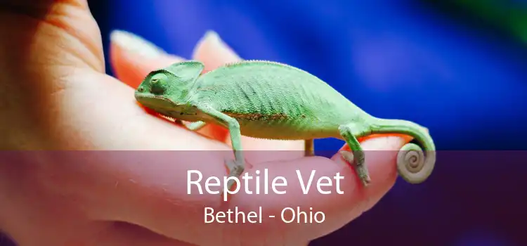 Reptile Vet Bethel - Ohio