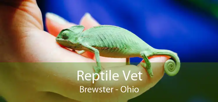 Reptile Vet Brewster - Ohio