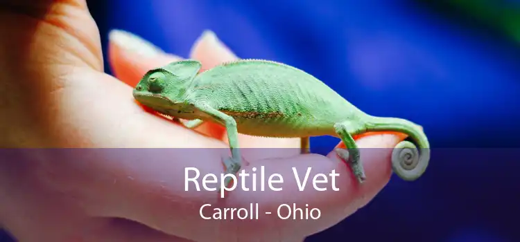 Reptile Vet Carroll - Ohio