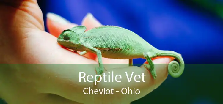 Reptile Vet Cheviot - Ohio