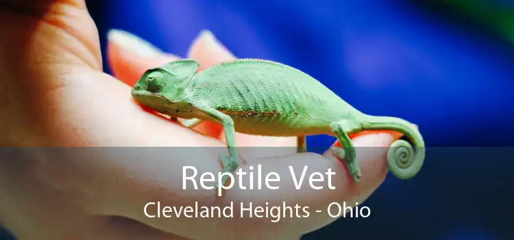 Reptile Vet Cleveland Heights - Ohio