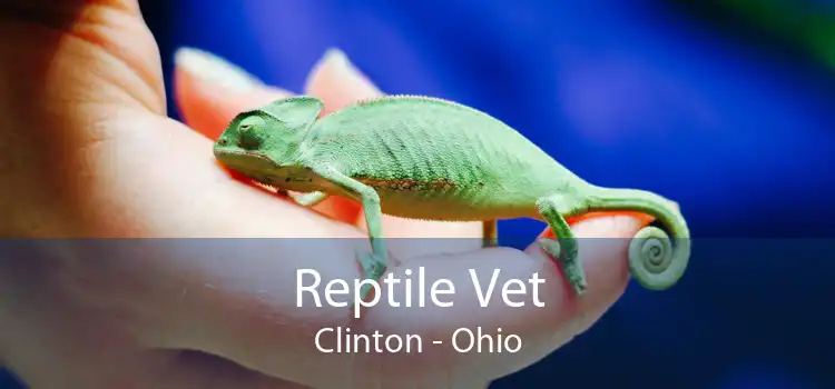 Reptile Vet Clinton - Ohio