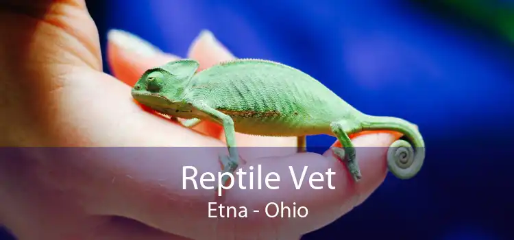 Reptile Vet Etna - Ohio