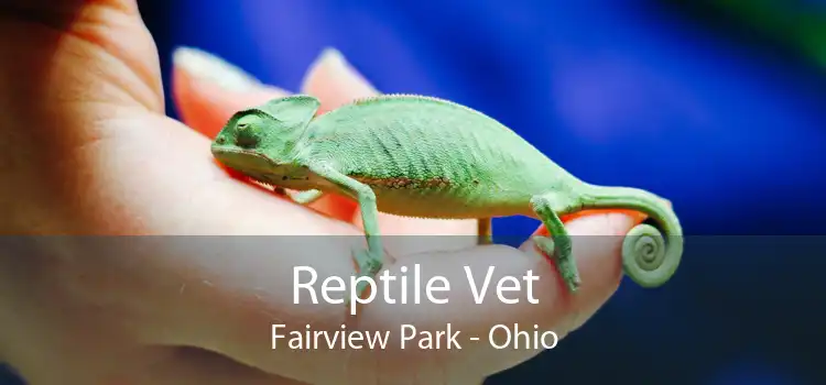 Reptile Vet Fairview Park - Ohio