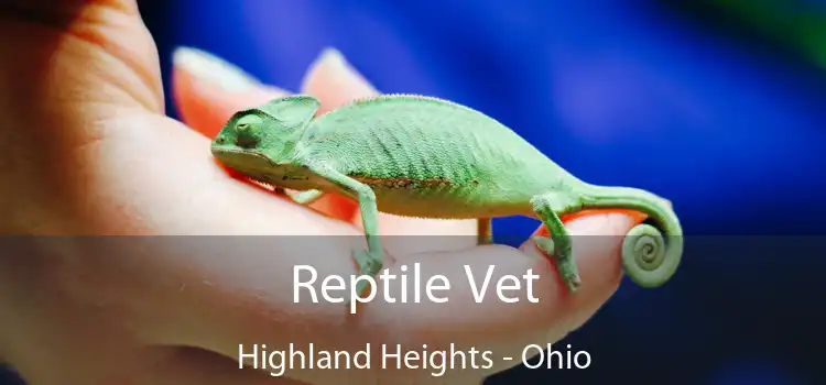 Reptile Vet Highland Heights - Ohio