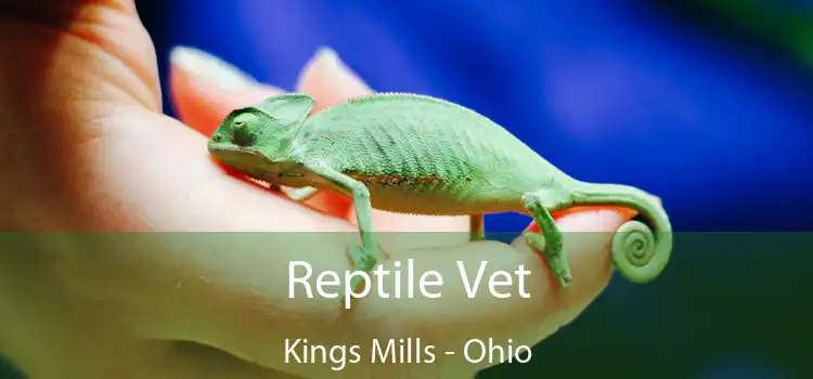 Reptile Vet Kings Mills - Ohio