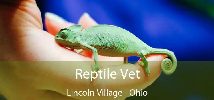 Reptile Vet Lincoln Village - Ohio