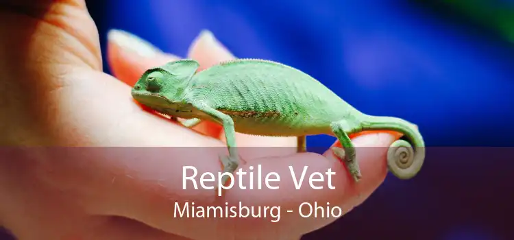 Reptile Vet Miamisburg - Ohio