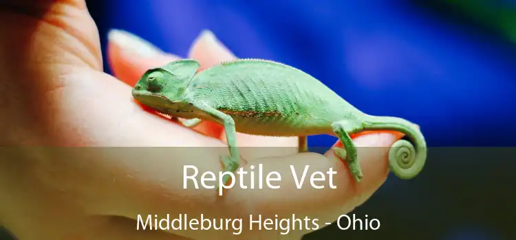 Reptile Vet Middleburg Heights - Ohio