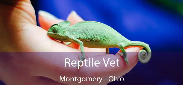 Reptile Vet Montgomery - Ohio