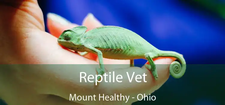 Reptile Vet Mount Healthy - Ohio