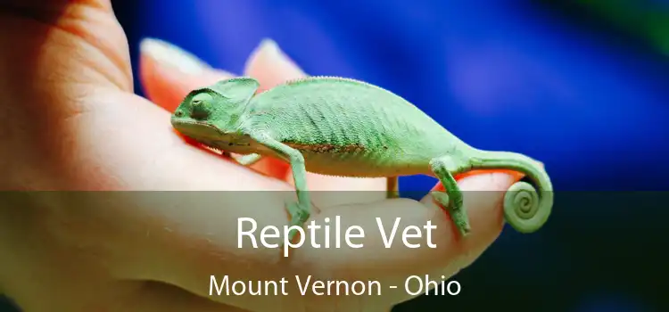 Reptile Vet Mount Vernon - Ohio