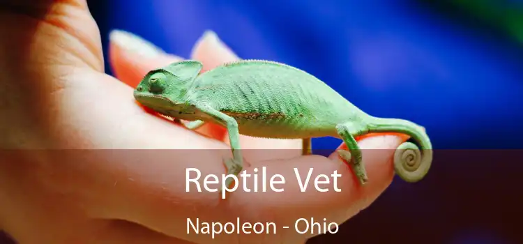 Reptile Vet Napoleon - Ohio