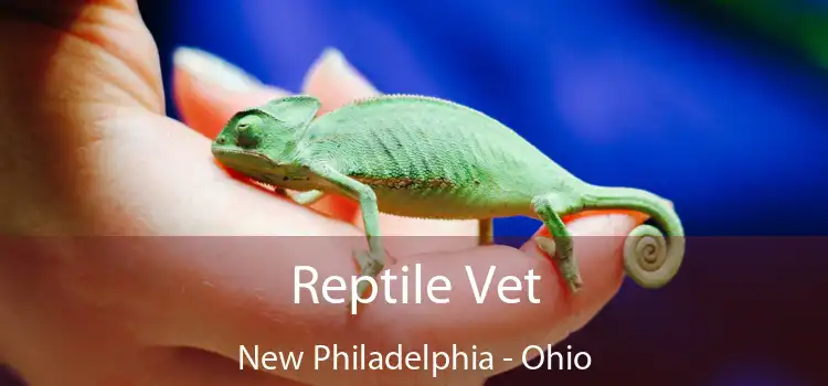 Reptile Vet New Philadelphia - Ohio