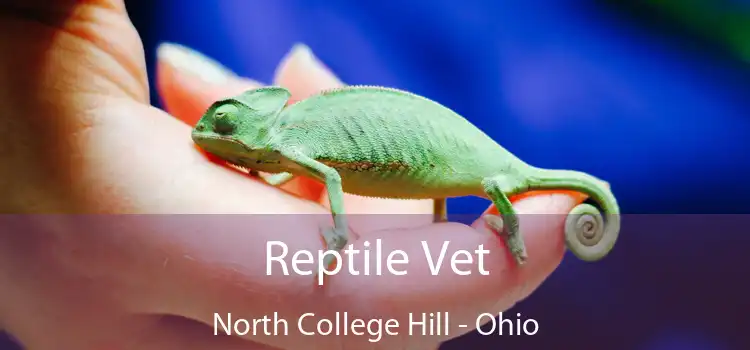 Reptile Vet North College Hill - Ohio