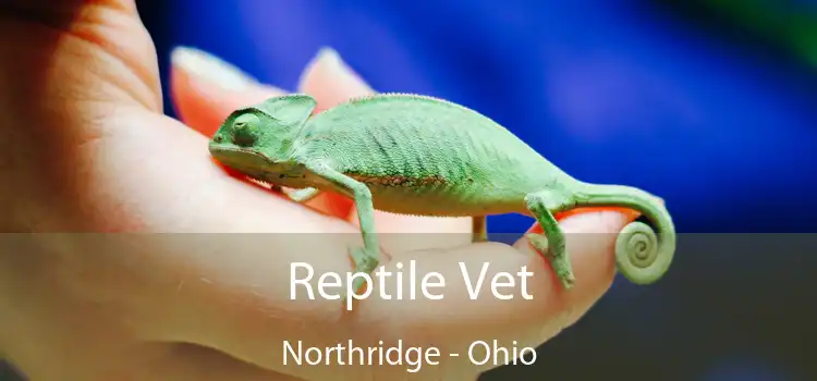 Reptile Vet Northridge - Ohio