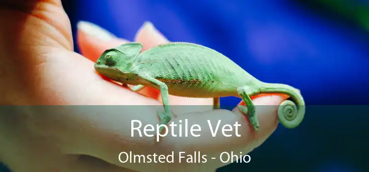 Reptile Vet Olmsted Falls - Ohio