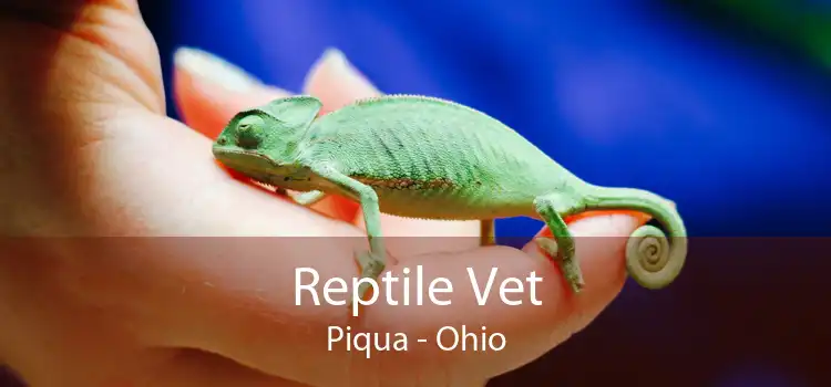 Reptile Vet Piqua - Ohio