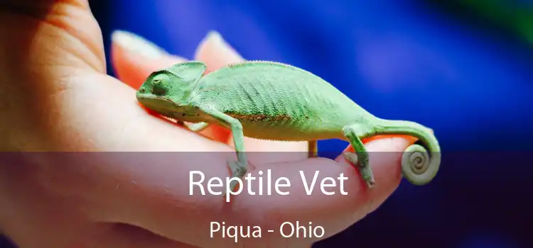 Reptile Vet Piqua - Ohio